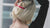 aurorapin hair clip barrette gpl1